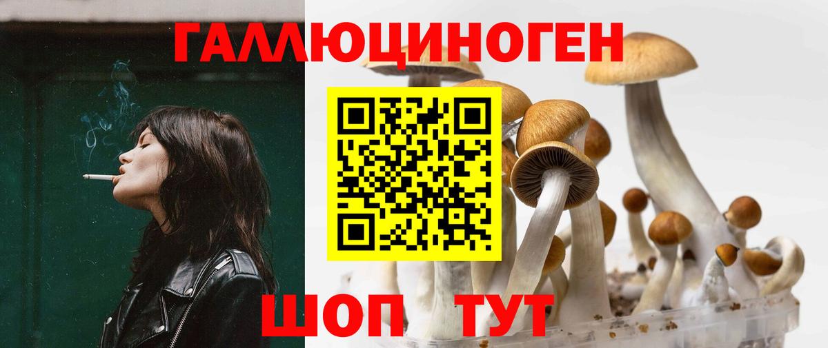 Мытищи  Галлюциногенные грибы мухоморы  наркотики  Вход с VPN 